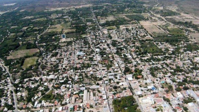 Los árboles de la plaza, patrimonio comunitario