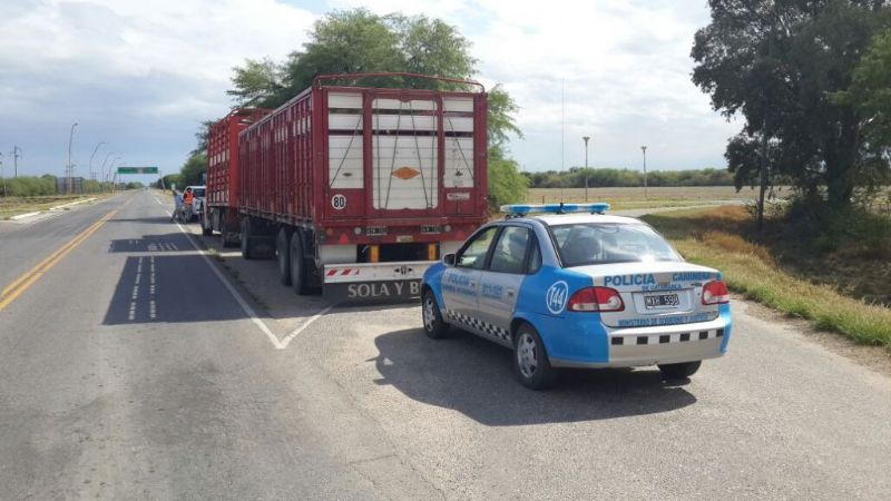 Secuestran animales porcinos en la ruta 33