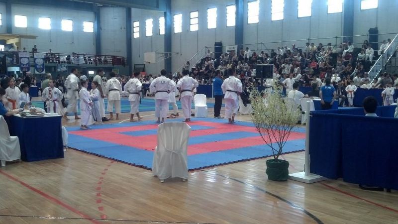 karatecas volvieron con varias medallas