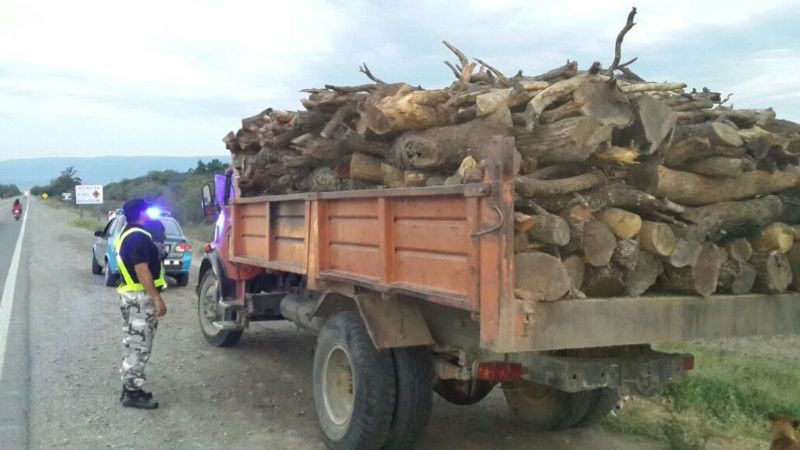 Incautaron cargamento de leña en Nueva Coneta