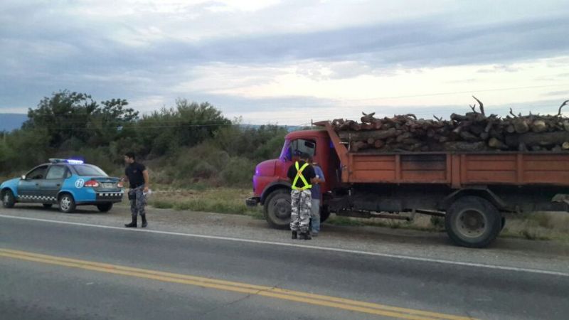 Incautaron cargamento de leña en Nueva Coneta