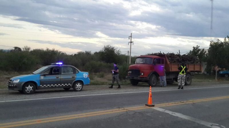 Incautaron cargamento de leña en Nueva Coneta