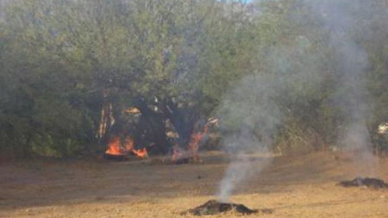 Empleados trabajan en la limpieza de barrios