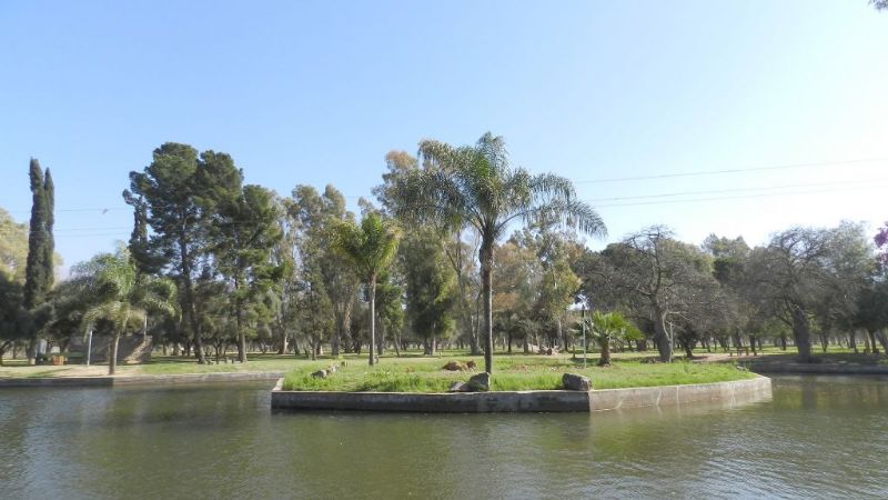 La Capital y la Facultad de Ciencias Agrarias censarán la evolución del arbolado
