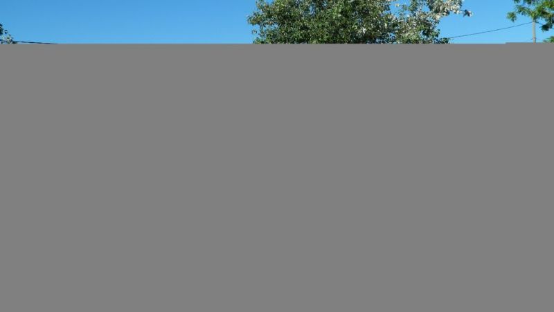 En un clima de fiesta y mucha emoción, la Imagen de la Virgen recorrió el CAPE