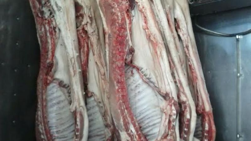 Control de alimentos en los ingresos a Valle Viejo