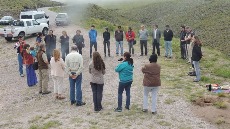 Liberan otro cóndor andino