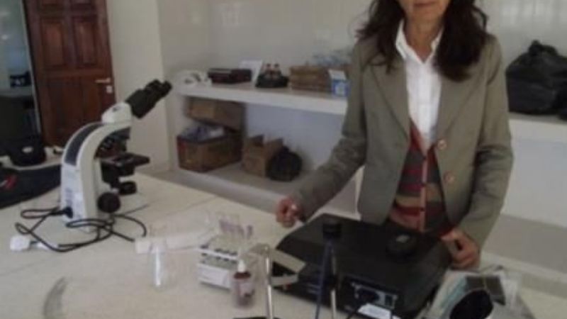 Más controles en la elaboración de chacinados