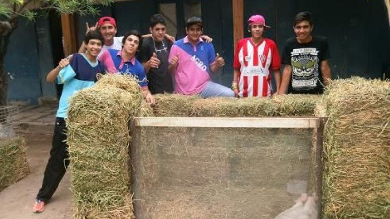 Expo Granja: robaron conejos y mataron 15 pollos