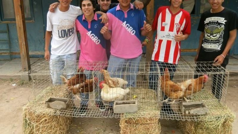 Expo Granja: robaron conejos y mataron 15 pollos