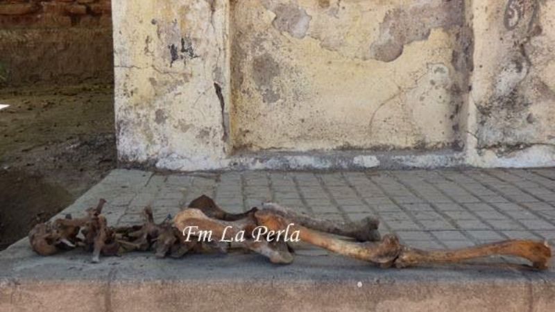 Encontraron el esqueleto de un niño