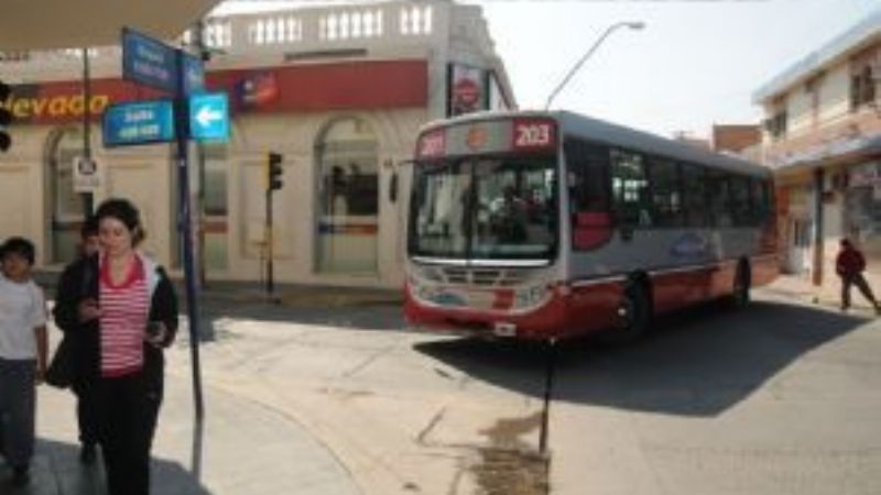 Dos jóvenes desataron la furia en un colectivo