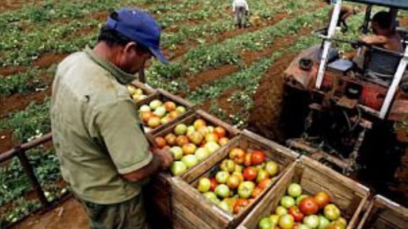 Generalizada caída de la actividad económica en el país