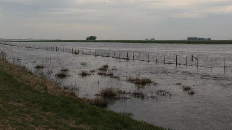 Emergencia agropecuaria para Formosa, Corrientes y La Rioja