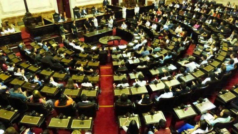 Alumnos de Catamarca debatieron en el Congreso de la Nación