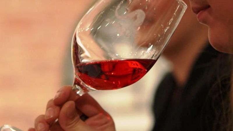Primer Encuentro de Cata de Vinos "Soy Catamarqueño"