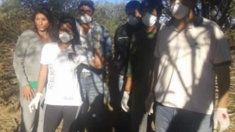 Vacunan contra la brucelosis caprina