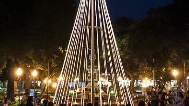Ya brilla el Arbolito de Navidad en el Paseo de la Fe