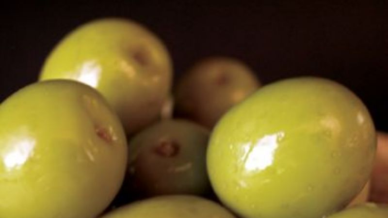 Industrialización de la aceituna