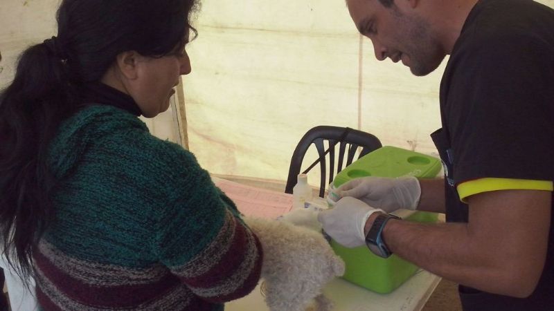 Vacunación contra el Sarampión, la Rubéola y la Poliomielitis