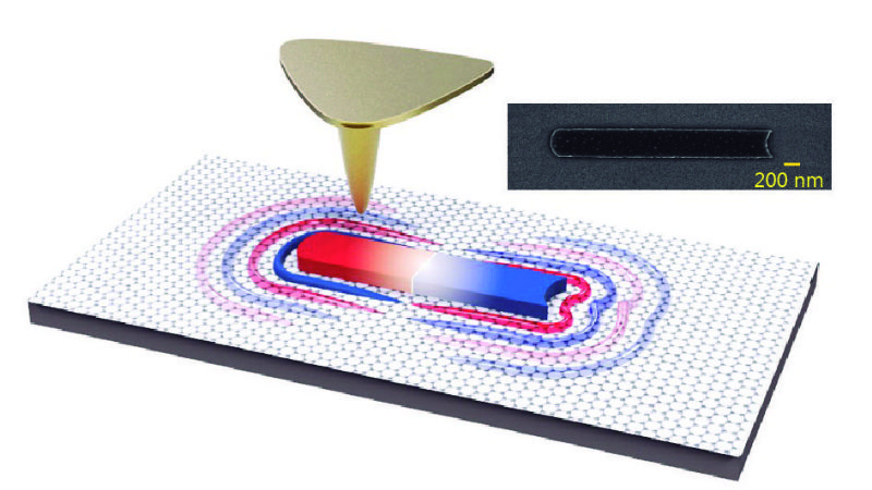 Tan liviano como el algodón, tan frágil como una rosa