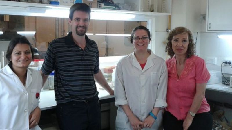 Diseñan alimentos con bacterias lácticas de pseudocereales