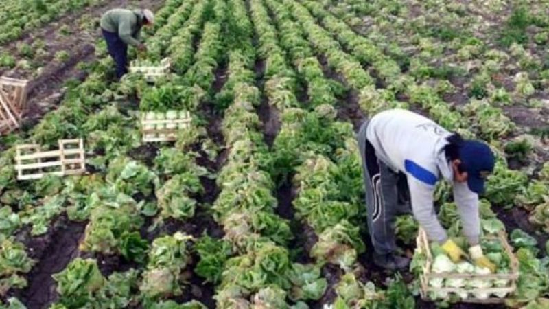 La crisis rusa afecta a algunas economías regionales