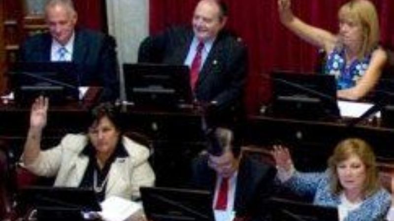 El Senado aprobó la elección de miembros del Parlamento del Mercosur