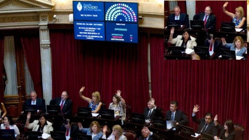 El Senado aprobó la elección de miembros del Parlamento del Mercosur