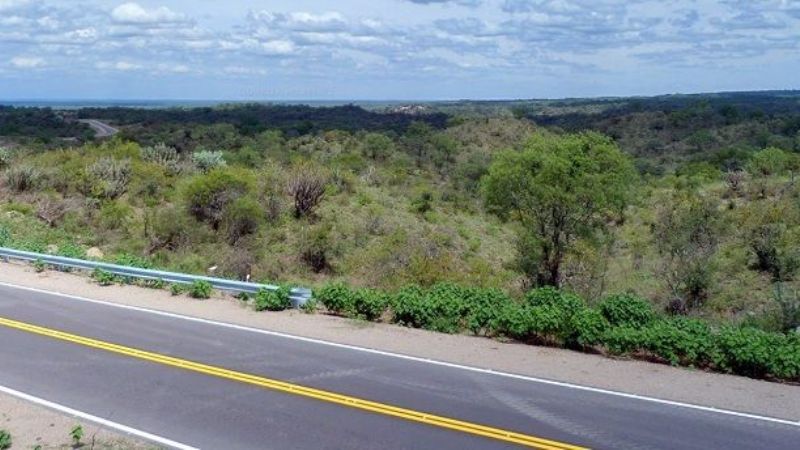 Normalidad en el tránsito por las Rutas Provinciales