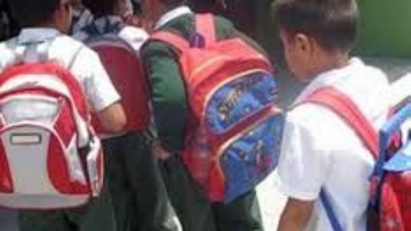Buscan que mochilas no produzcan lesiones óseas en alumnos