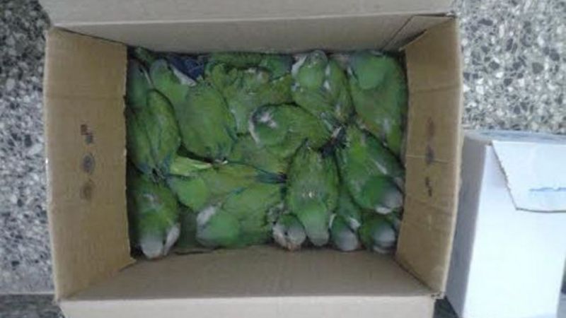 Inscripciones abiertas para la venta normal de “catas"