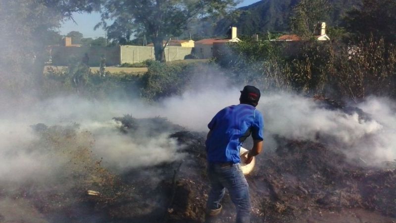 Voraz incendio en un vivero de La Carrera