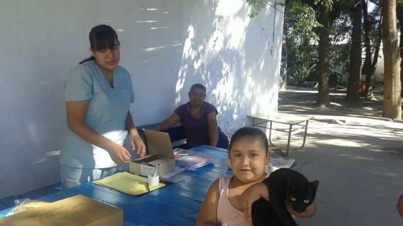 Operativo de castración con quirófano movil