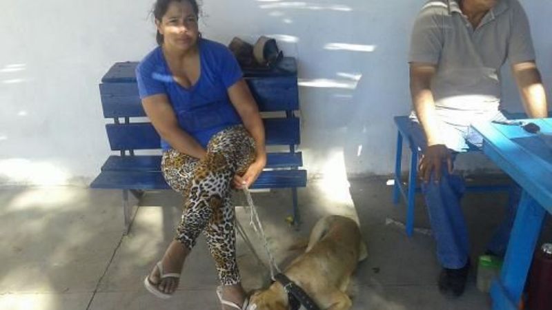 Operativo de castración con quirófano movil