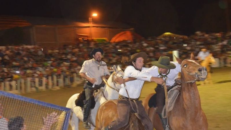 Los Palmareños cerraron a pura fiesta la Doma y Folclore 2014
