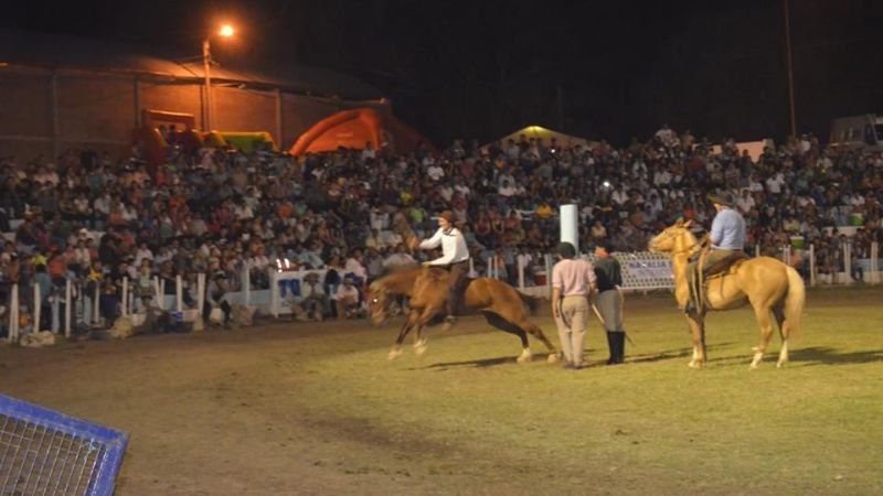 Los Palmareños cerraron a pura fiesta la Doma y Folclore 2014