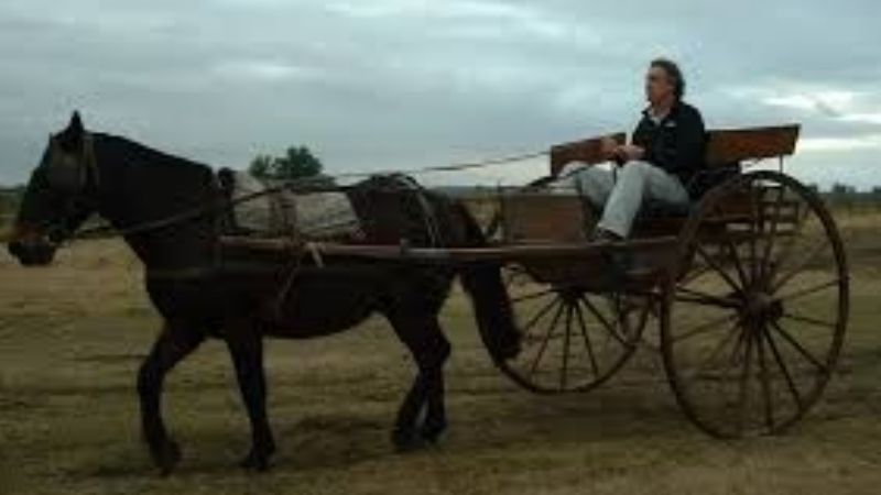 En carruaje, peregrinos tucumanos llegan por primera vez a venerar a la Virgen del Valle