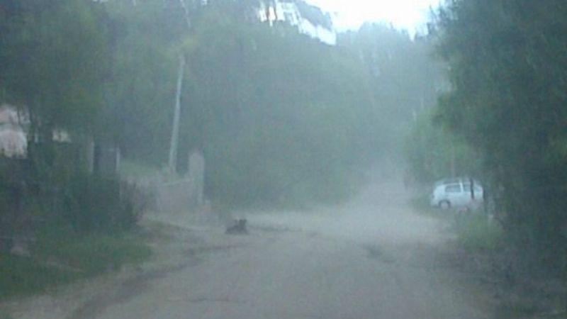 Casas Doering, el desastre tras el desastre