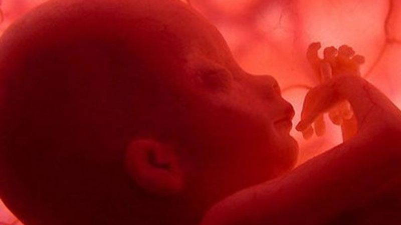 Pedido a la Corte por los abortos no punibles