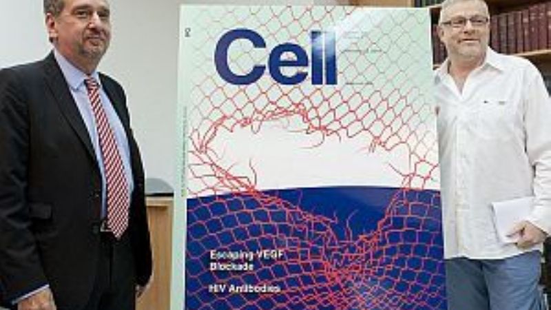 Avance argentino contra el cáncer: logran revertir la resistencia tumoral