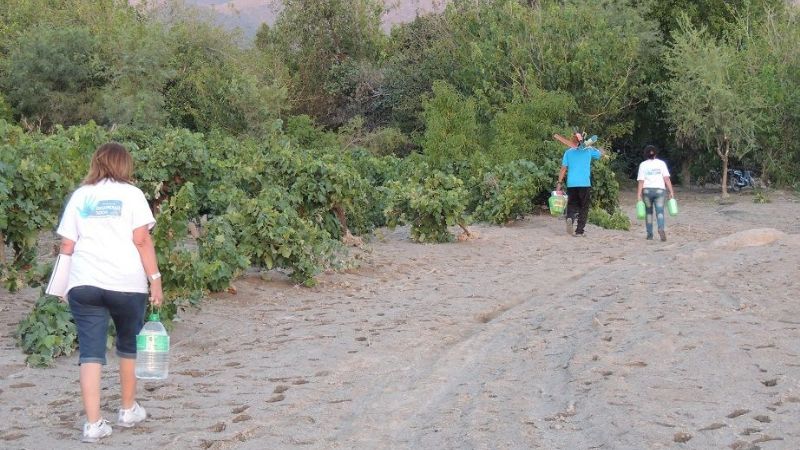 Cuando el amor es más fuerte