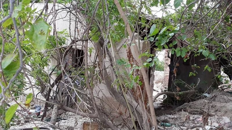 Perro espera a su dueño que murió en alud de Siján