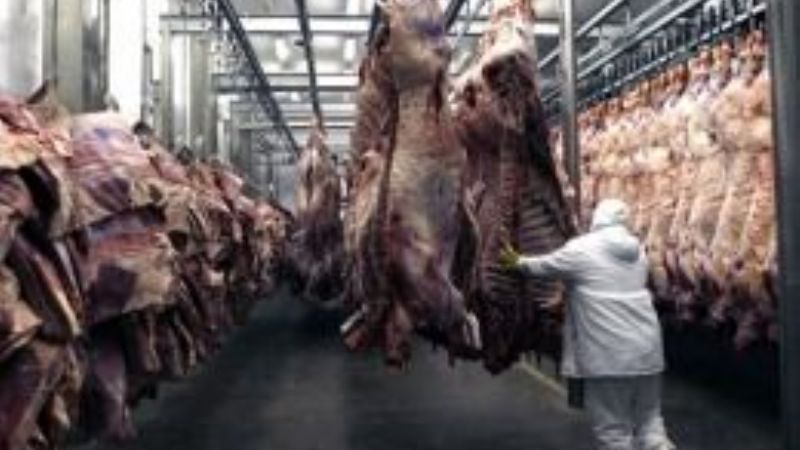 Buscan aumentar la productividad y transparentar la comercialización de la carne