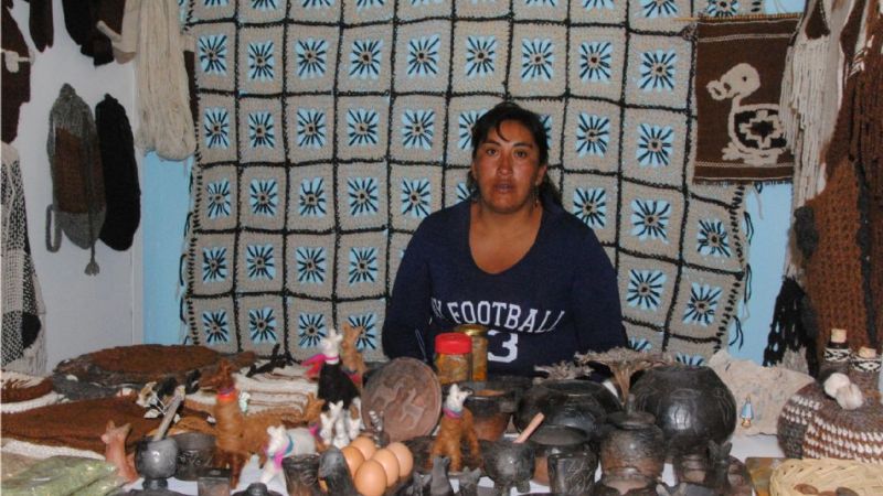 Todo el turismo presente en la Feria de la Puna 2014