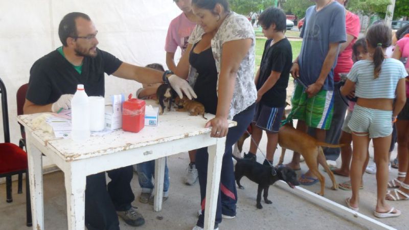 Asistencia a las mascotas del sur de la ciudad