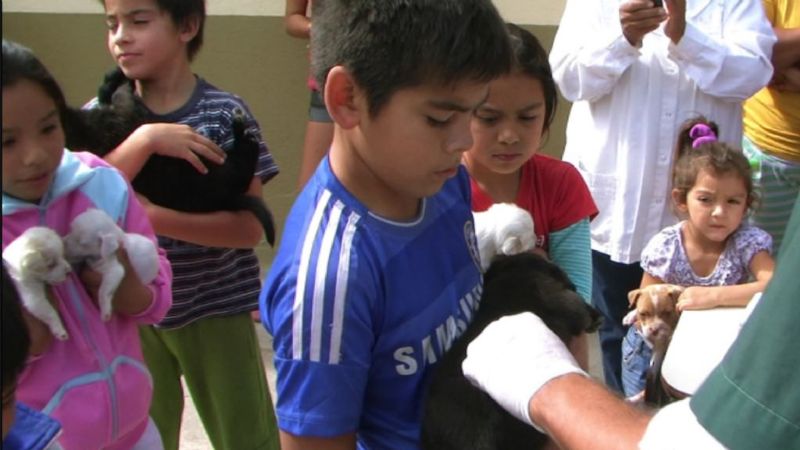 Asistencia a las mascotas del sur de la ciudad