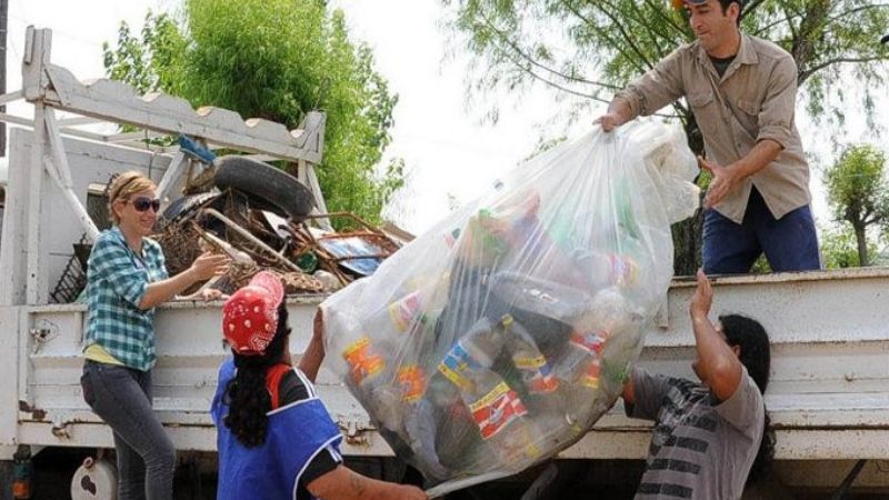 Detectan alta presencia del mosquito Aedes Aegyptis en Villa Cubas