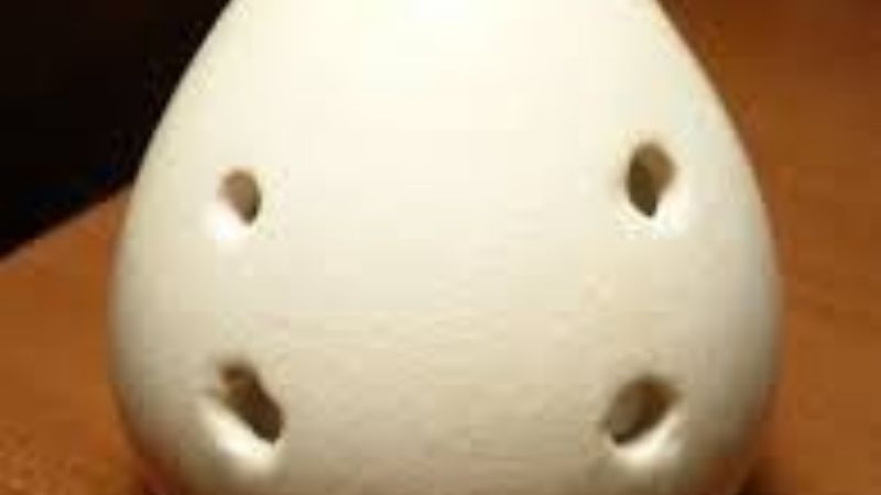 Encontraron instrumento musical de 1.500 años de antigüedad