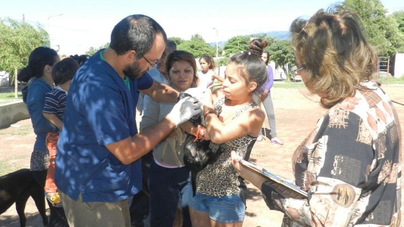 Zoonosis municipal brindó asistencia veterinaria gratuita